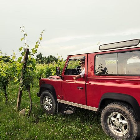 Agriturismo I Mischi กัสเตลนูโอโว เดล การ์ดา ภายนอก รูปภาพ
