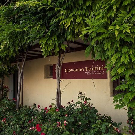 Agriturismo I Mischi กัสเตลนูโอโว เดล การ์ดา ภายนอก รูปภาพ
