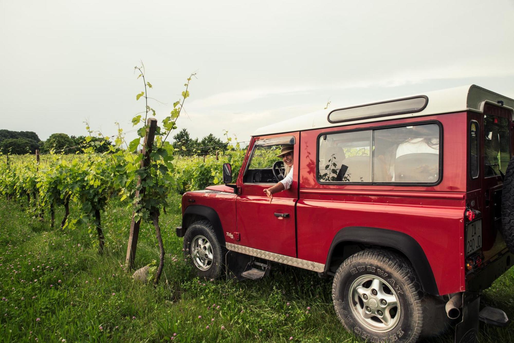 Agriturismo I Mischi กัสเตลนูโอโว เดล การ์ดา ภายนอก รูปภาพ
