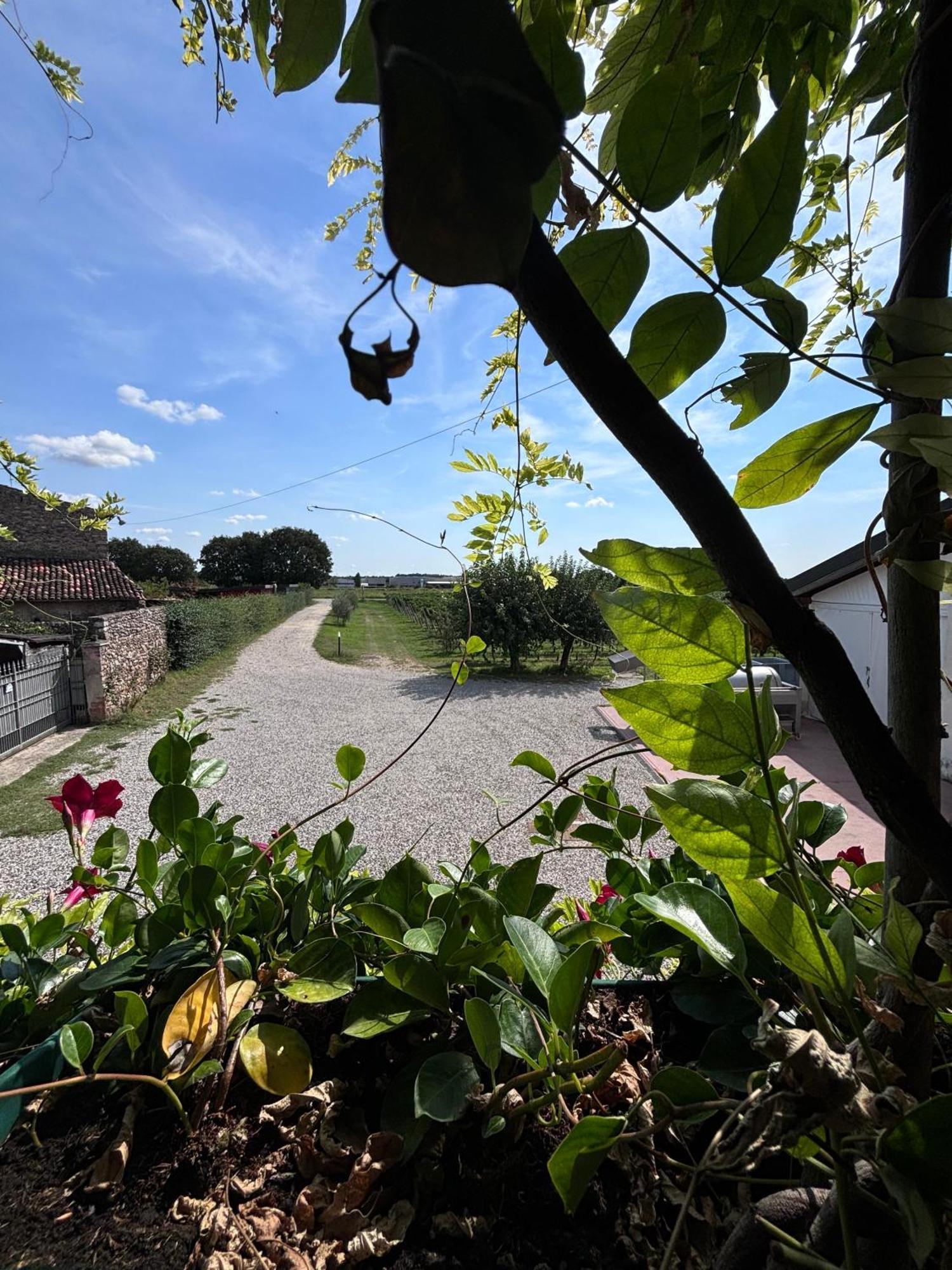 Agriturismo I Mischi กัสเตลนูโอโว เดล การ์ดา ภายนอก รูปภาพ