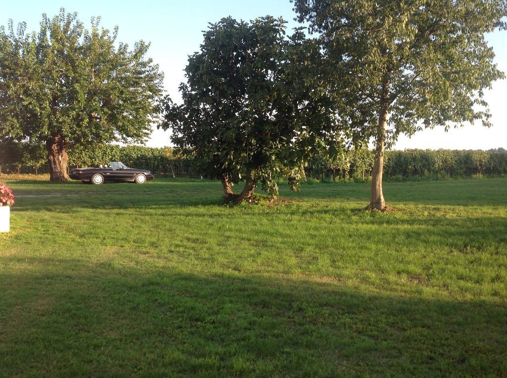 Agriturismo I Mischi กัสเตลนูโอโว เดล การ์ดา ภายนอก รูปภาพ